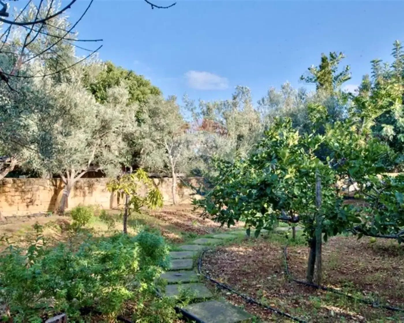 Gharghur – Villa Detached — photo 2